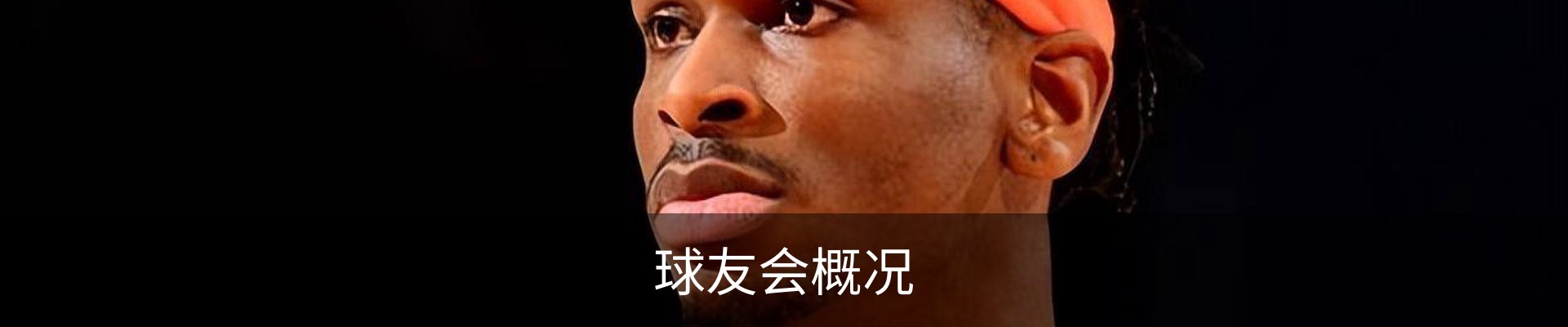 球友会概况
